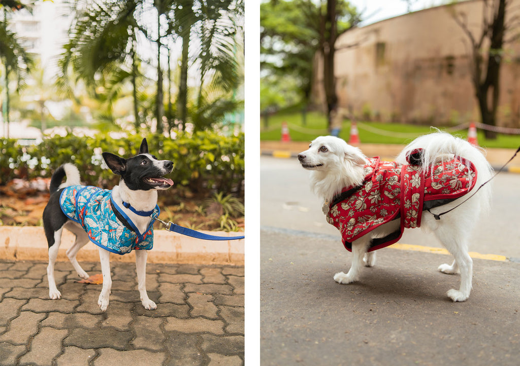 Bespoke fashion accessories for the modern dog: Indian Prints!